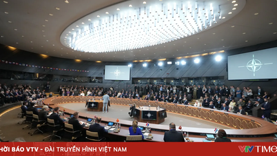 NATO sẽ hiện đại hóa năng lực hạt nhân