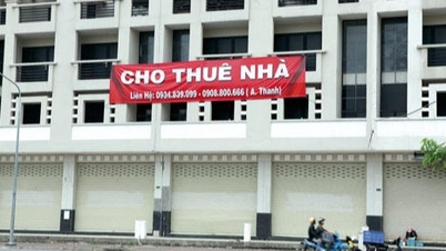 Tín hiệu tích cực sau quyết sách phát triển nhà ở cho thuê