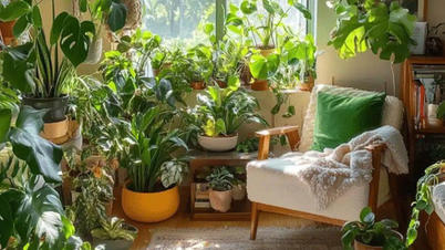 Elakkan 5 kesilapan ini apabila meletakkan tumbuhan feng shui di rumah anda.