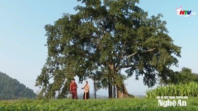 Family love in the folk songs of Ví and Giặm