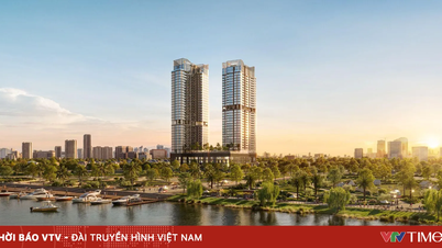 Real estate in the South of Ho Chi Minh City: The optimal location for profit in the new cycle.