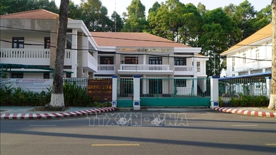 Setelah penggabungan provinsi Tien Giang dan Dong Thap yang sukses, berapa banyak kantor dan lahan surplus yang telah sepenuhnya terselesaikan?