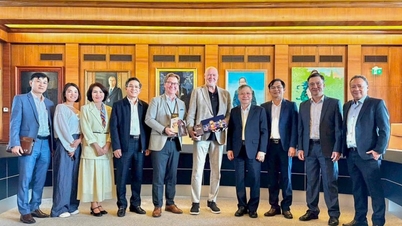 Da Nang y Turku (Finlandia) fortalecen sus relaciones de cooperación amistosa.