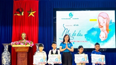 Hỗ trợ đảm bảo an sinh xã hội