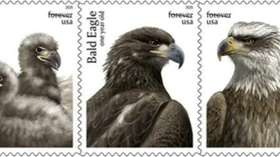 The U.S. Postal Service has issued a commemorative stamp set titled "Bald Eagle".