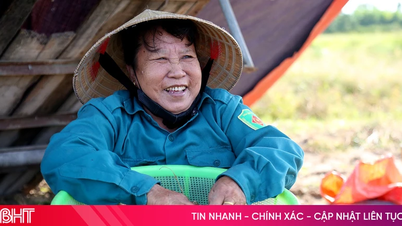 Hành tăm giá tốt, nông dân “đội nắng” thu hoạch