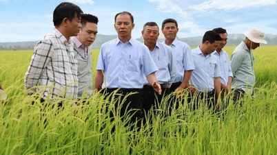 บริษัท 721 คอฟฟี่: 50 ปีแห่งการสร้างและพัฒนา