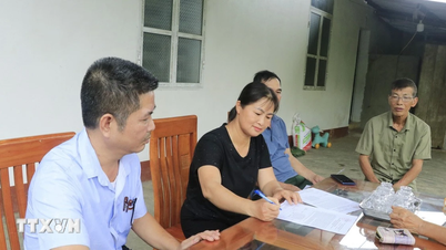 Reorganización de aldeas y zonas residenciales: Los habitantes de Lao Cai están satisfechos.