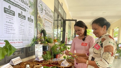 Da Nang Traditional Medicine Association tilbyder intensiv træning og opdateringer om politikker vedrørende lægeurter til sine medlemmer.