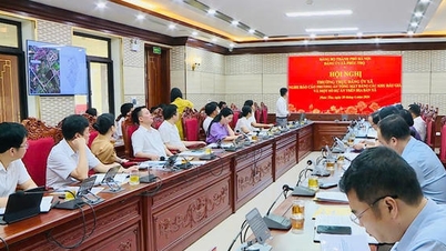 Phuc Tho (Hanoi): Menciptakan lahan untuk pembangunan, dengan tujuan menciptakan kawasan perkotaan modern dan berkelanjutan.