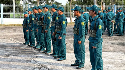 Leiders voeren militaire en nationale defensietaken effectief uit.