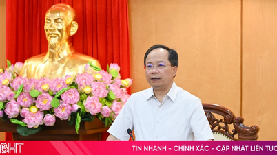 Ban Thường vụ Tỉnh ủy Hà Tĩnh cho ý kiến các nội dung thuộc thẩm quyền