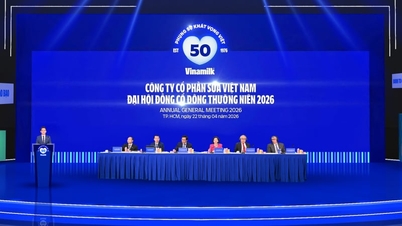 Vinamilk is the only representative of the Vietnamese dairy industry in the Fortune 500 Southeast Asia.