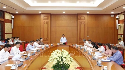Ensuring the timely and high-quality completion of key projects.