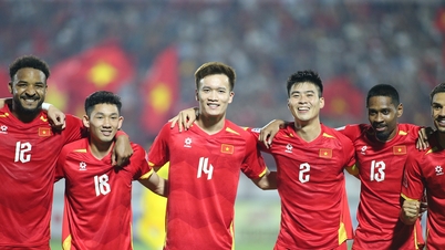 Echipa națională a Vietnamului și cea mai puternică echipă a sa își apără titlul Cupei ASEAN.