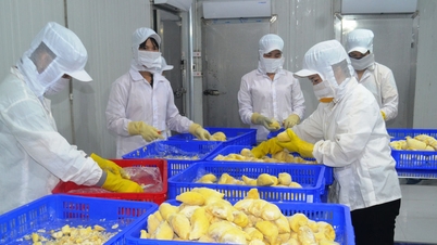 Підвищення якості сільськогосподарської, лісової та водної продукції шляхом переробки.
