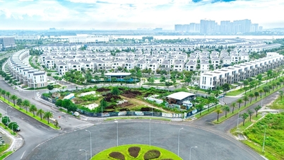 Dong Nai şehri, 2030 yılına kadar 1.680 hektardan fazla alanı kapsayan 16 yeni konut geliştirme alanı eklemeyi hedefliyor.