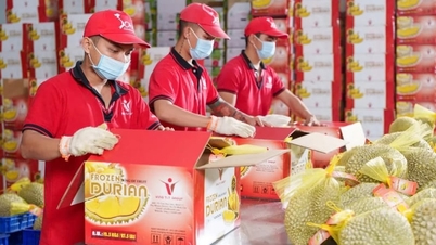 Comércio de frutas e vegetais entre Vietnã e China: uma parceria 'bilionária'.