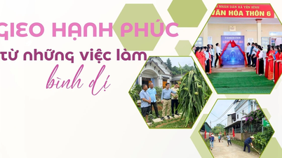 Gieo hạnh phúc từ những việc làm bình dị
