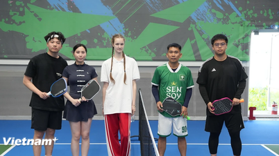 El pickleball difunde el espíritu deportivo del pueblo vietnamita en Rusia.