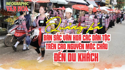 (ອິນໂຟກຣາຟິກ) ການສົ່ງເສີມເອກະລັກທາງວັດທະນະທຳຂອງກຸ່ມຊົນເຜົ່າໃນທົ່ງພຽງມົກເຈົາ.