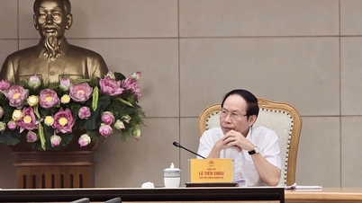 Wakil Perdana Menteri Le Tien Chau memimpin rapat mengenai rancangan Undang-Undang tentang Pengacara (yang telah diamandemen).
