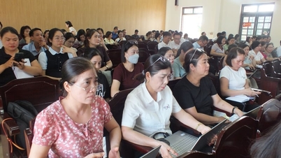 Which communes and wards in the newly established Hung Yen province (including the former Thai Binh province) are among the top performers in terms of budget revenue in the first six months of the year?