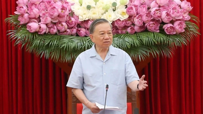 The General Secretary and President requested clarification on the necessity of continuing the merger of some communes and wards.