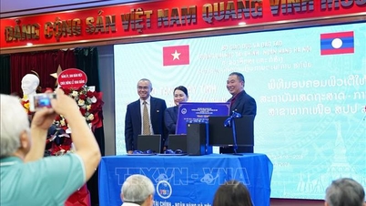 Support for capacity building for state-owned enterprise officials in Laos.