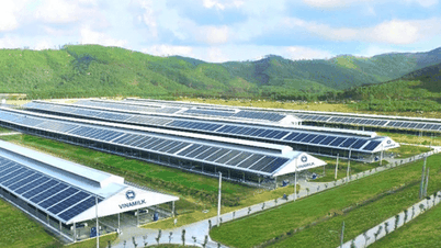 Energy optimization: The key to enhancing business competitiveness.