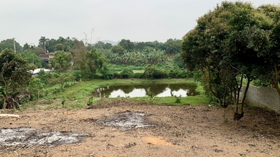 Hanoi: Proses 15 hari untuk menghitung biaya penggunaan lahan saat mengubah lahan kolam/kebun menjadi lahan perumahan.