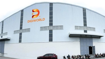 DGW perd près de 30 % de sa valeur boursière ; les valeurs technologiques plongent dans le rouge le 22 juin.