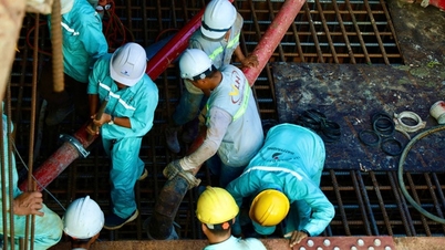 Cầu đi bộ lá dừa nước vượt sông Sài Gòn tăng tốc về đích