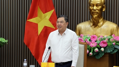 Varapääministeri Pham Gia Tuc:完善政策，...