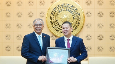De voorzitter van het Volkscomité van Da Nang, Nguyen Manh Hung, ontvangt de Indonesische ambassadeur in Vietnam.