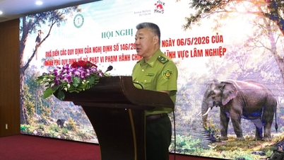 Meningkatkan kesan pencegahan terhadap pelanggaran pentadbiran dalam sektor perhutanan.
