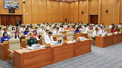El Consejo Popular Provincial de Cao Bang examinó 25 proyectos de resolución en su cuarta sesión.