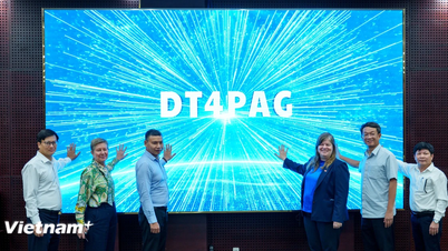 Da Nang melancarkan dua sistem digital untuk aset awam dan pengurusan bandar.