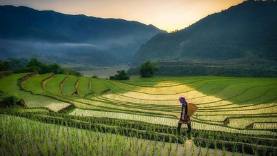 ມະຫາວິທະຍາໄລໄທງວຽນຮ່ວມມືກັບແມ່ຍິງຊົນເຜົ່າສ່ວນນ້ອຍໃນລາວກາຍເພື່ອເສີມຂະຫຍາຍທັກສະດ້ານດິຈິຕອນຂອງເຂົາເຈົ້າ.