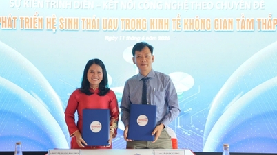 An Giang und Ho-Chi-Minh-Stadt kooperieren auf einer Technologieaustauschplattform, um die Verbindungen zwischen Angebot und Nachfrage auszubauen und Technologiedaten auszutauschen.