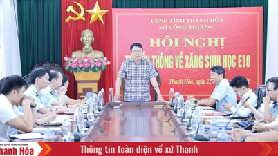 Đẩy mạnh truyền thông, bảo đảm lộ trình chuyển đổi sang xăng E10 hiệu quả