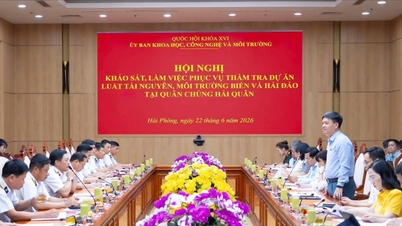 ក្រុមការងារនៃគណៈកម្មាធិការវិទ្យាសាស្ត្រ បច្ចេកវិទ្យា និងបរិស្ថាន បានជួបប្រជុំជាមួយកងទ័ពជើងទឹកវៀតណាម។