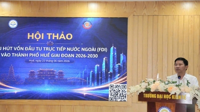 Consultation on strategies to attract FDI to Hue City.