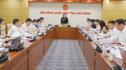 18. İl Halk Konseyi'nin 4. Oturumu: Delegeler gruplar halinde canlı tartışmalara katıldı - Cao Bang Çevrimiçi Gazetesi