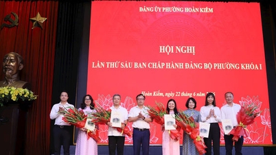Hoan Kiemin vaalipiirin puoluekomitean toimeenpanevan komitean 6. konferenssi