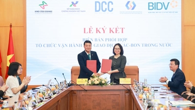 BIDV phối hợp tổ chức vận hành Sàn giao dịch Các-bon trong nước