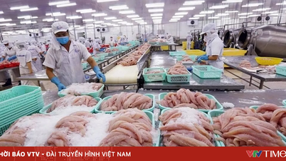 Transparency in exported seafood products.