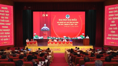 Yaşlılar Derneği Birinci İl Kongresi'nin ilk oturumu, 2026-2031 dönemi - Cao Bang Çevrimiçi Gazetesi