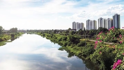 Sungai Nghia Tru—mengikuti aliran sungai lama, di sisi desa Xuan Cau (Van Giang, Hung Yen)—adalah tempat tinggal keluarga To yang terkenal, yang dikenal karena prestasi ilmiah mereka.