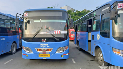 Ho Chi Minh-stad kondigt 134 busroutes aan met 100% tariefsubsidie.